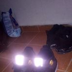 Profile Picture of Daniel Palacio (@Daniel-Palacio) on Facebook