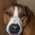 Profile Picture of Kevin Kerns (@kevin.kerns.503) on Facebook
