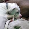 Profile Picture of Charles Berkley695 (@charlesberkley89) on Tiktok
