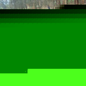 Profile Picture of Ben Wotherspoon (@spoono_11) on Myspace