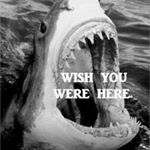 Profile Picture of David Rizo (@dvid_r_r) on Instagram