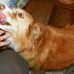 Profile Picture of Muffy James (@muffy.james.7) on Facebook