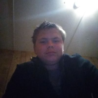 Profile Picture of Shaun Humphrey (@ShaunHu33074768) on Twitter