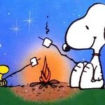 Profile Picture of 張禎君 (@a0926887813) on Instagram