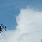 Profile Picture of Alex Der (@Alex.der.141182) on Facebook