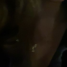 Profile Picture of Darcymaxwell  (@darcymaxwell08) on Pinterest