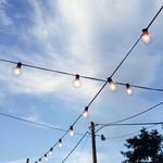 Cess Foster - Instagram Profile Picture of Cess Foster (@_francesca_foster_) on Instagram