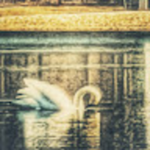 Profile Picture of Christine Weeden (@christineweeden) on Poshmark