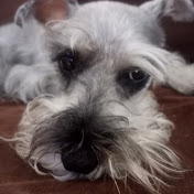 Profile Picture of Bienvenido Al Canal De Pablito (@PablitoVeraRamírez) on Youtube