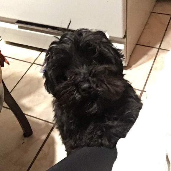 Profile Picture of Lisette Lepez (@lepezlisette) on Poshmark