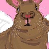 Profile Picture of Kailey Mitchell (@kailey-mitchell-5) on Quora