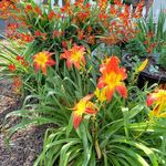 Jane davison barton - Instagram Profile Picture of Jane davison barton (@janedavb) on Instagram