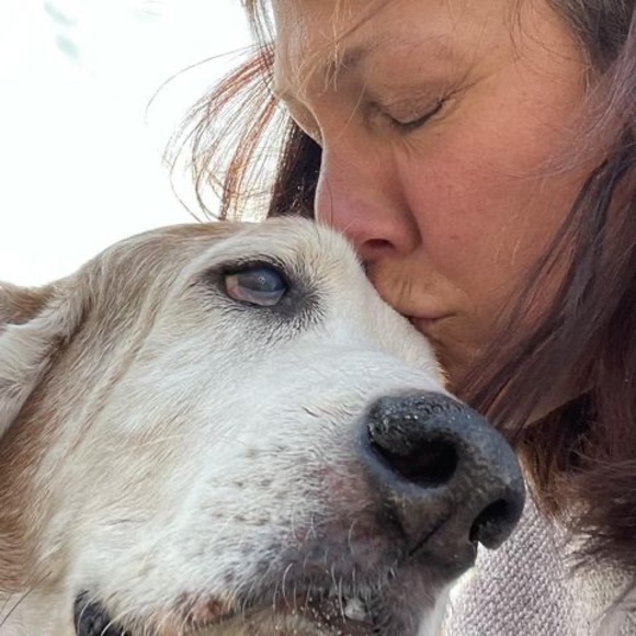 Profile Picture of Robyn Kulakowski (@rbski1964) on Poshmark