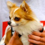 Profile Picture of Stephen Francis (@basearab) on Instagram