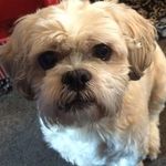 Profile Picture of Joyce Jefferson (@joycejefferson51) on Instagram