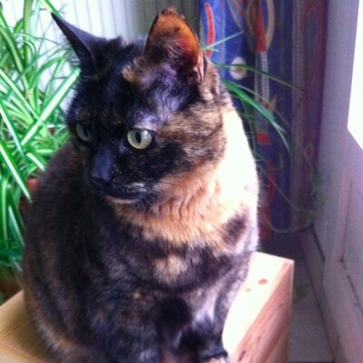 Profile Picture of Dore Catherine (@@DoreCatherine) on Twitter