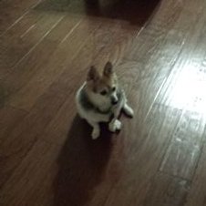 Profile Picture of Parker Freeman (@freemanparker22) on Twitter