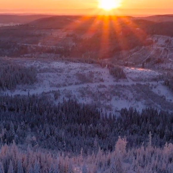 Profile Picture of Anthony Stuble (@anthony2226) on Poshmark