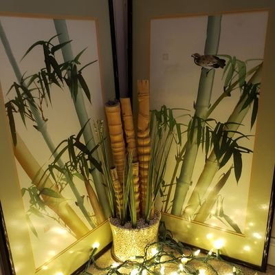 Profile Picture of Whitney Watkins (@WhitneyMackey47) on Twitter