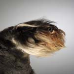 Profile Picture of John_Eason (@john_easony) on Instagram