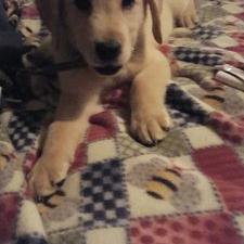 Profile Picture of Connor Osborne (@connorosborne22) on Twitter