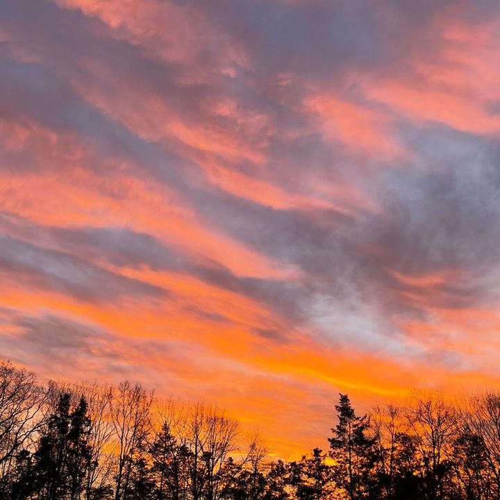 Profile Picture of Chris Nigro (@cnigro) on Tiktok