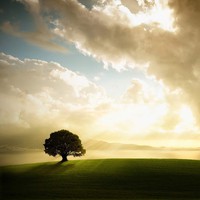 Profile Picture of Luke Chun (@luke-chun-7) on Quora