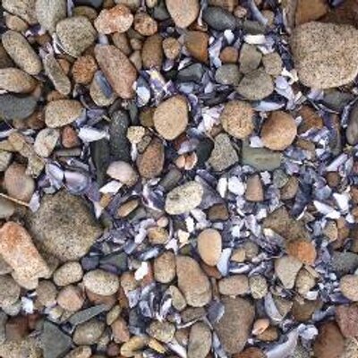 Profile Picture of Laura Woodson Twitter