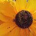 Profile Picture of Gail Crabtree (@gail.crabtree.90) on Facebook