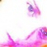 Profile Picture of Bianca.allen.359 (@bianca.allen.359) on Flickr