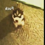 Profile Picture of Jonathan Seward (@sewardjonathan) on Instagram