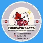 Profile Picture of Cats Betta (@catbetta12) on Instagram