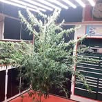 Profile Picture of Floyd Temple (@floyd.temple.14) on Facebook