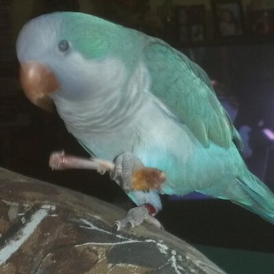 Profile Picture of David Beamish (@BeamishDavid) on Twitter