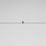 Joseph Van Daele - Facebook Profile Picture of Joseph Van Daele (@joseph.vandaele.7) on Facebook