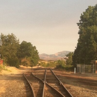 Profile Picture of Lori Abrams (@LoriBAbrams) on Twitter