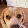 Profile Picture of Richard Rutkowski (@richardrutkowski) on Tiktok