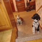 Profile Picture of Andrew Manno (@Andrew-Manno) on Facebook