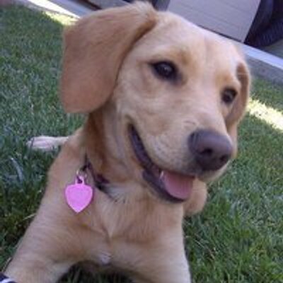 Profile Picture of Carly Petersen (@Carlyp22) on Twitter