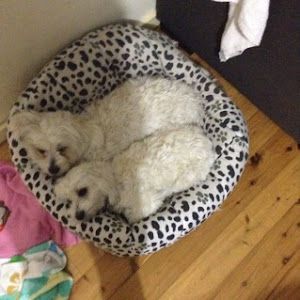 Profile Picture of Phillip Barwick (@phillip.barwick) on Tiktok