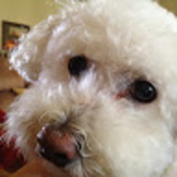 Profile Picture of Brianna Messman (@briannamessman) on Poshmark