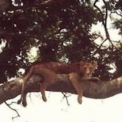 Profile Picture of Brian Correll (@briancorrell4801) on Youtube