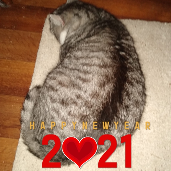 Profile Picture of Joseph Enos (@joeyedenos388) on Poshmark