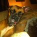 Profile Picture of Christopher Baker (@christopher.baker.3705157) on Facebook