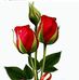 Profile Picture of M Shaw (@M-Shaw) on Facebook