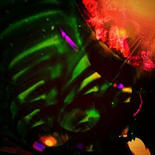 Profile Picture of Lisa Roush (@lisaroushy) on Instagram