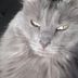 Profile Picture of JoAnna Tompkins (@joanna.tompkins.100) on Facebook
