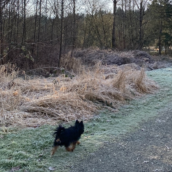 Profile Picture of Abby Leinweber (@abbyleinweber) on Poshmark