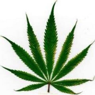 Profile Picture of Tommy Erwin (@tommyerwin1) on Twitter