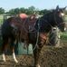 Profile Picture of Don Rogers (Don) (@don.rogers.1650) on Facebook